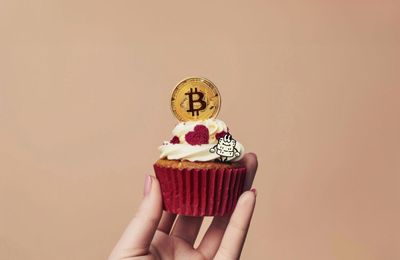 Estas son las Criptomonedas más Prometedoras para este 2024